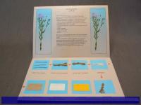 Лён и продукты его переработки