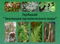Гербарий «Эволюция органического мира»