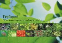 Гербарий «Растительные сообщества"