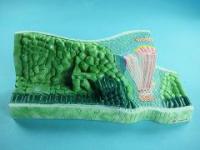 Модель строения листа