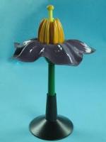 Демонстрационная модель цветка картофеля