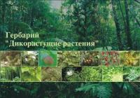 Гербарий "Дикорастущие растения"