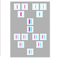 Модель-аппликация "Гаметогенез у животных"