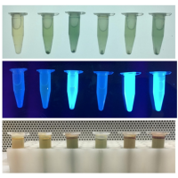 Биотехнологический учебный комплект «Edvotek» №951 - Каталог оборудования для учебных заведений и кабинетов ATTECH 