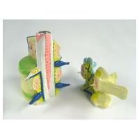 Демонстрационная модель части позвоночника человека