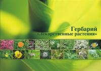 Гербарий "Лекарственные растения"