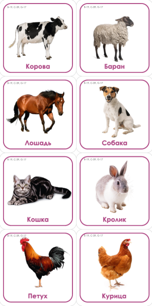 Набор карточек с изображением предметов связанных по категории