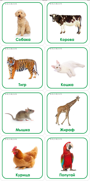 Набор карточек с изображением предметов связанных по характеристике