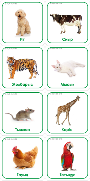 Набор карточек с изображением предметов связанных по характеристике