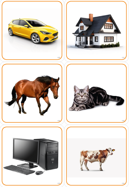 Набор карточек с изображением различных объектов для различения их частей  