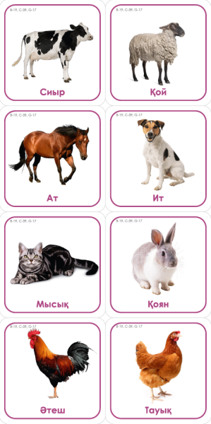 Набор карточек с изображением предметов связанных по категории